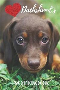 Dachshund Notebook
