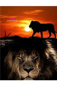 Lion Sketch Book