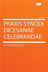Praxis Synodi Dicesanae Celebrandae