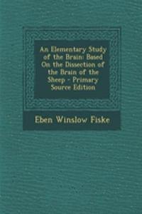 An Elementary Study of the Brain