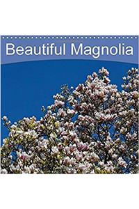 Beautiful Magnolia 2018