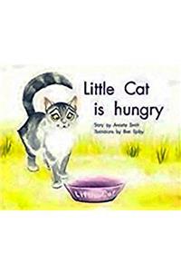 Little Cat Is Hungry