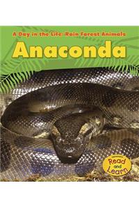 Day in the Life Rain Forest Animals Anaconda