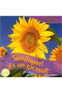 It's a Sunflower! / ¡Es Un Girasol!