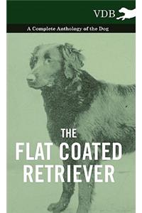 The Flat Coated Retriever - A Complete Anthology of the Dog