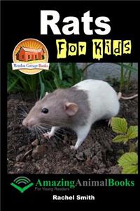 Rats For Kids