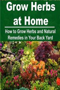 Grow Herbs at Home