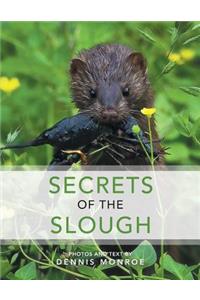 Secrets of the Slough