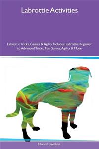 Labrottie Activities Labrottie Tricks, Games & Agility Includes: Labrottie Beginner to Advanced Tricks, Fun Games, Agility & More