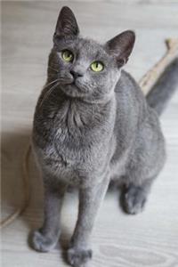 Russian Blue Cat Journal