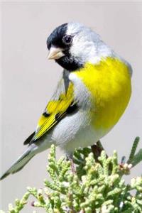 A Cheerful Goldfinch Bird Journal