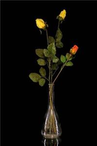 A Beautiful Bouquet of Yellow Roses in a Vintage Glass Bottle Journal