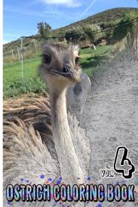Ostrich