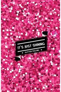 It's Just Shining Glitter Feeling: Internet Password Organizer: (Pink Shining Glitter)