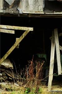 An Old Broken Down Barn Door Journal