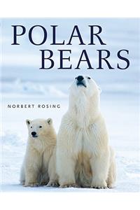 Polar Bears