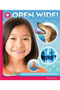 Open Wide: The Ultimate Guide to Teeth