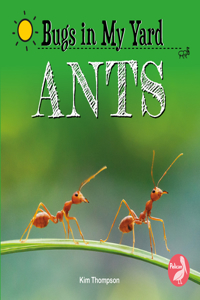 Ants