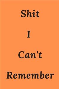 Shit I Can't Remember