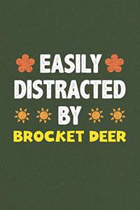 Easily Distracted By Brocket Deer