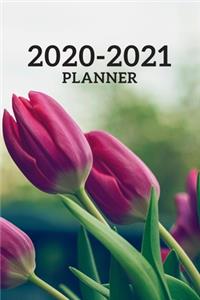 2020-2021 Yearly, Monthly, Weekly Planner