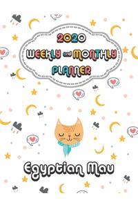 2020 Egyptian Mau Cat Planner