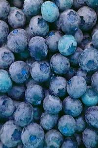 2020 Daily Planner Juicy Blueberries 388 Pages