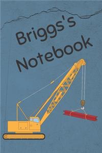 Briggs's Notebook
