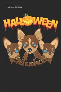 Halloween chihuahua