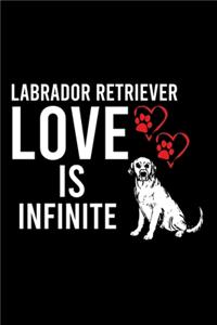 Labrador Retriever Love Is Infinite