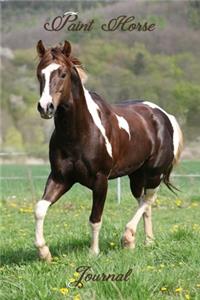 Paint Horse Journal
