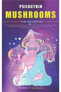 Psilocybin Mushrooms for beginners