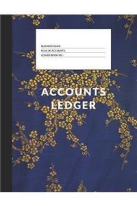 Accounts Ledger