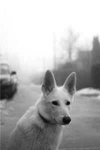 German Shepherd Journal