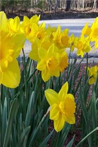 Floral 2019 Daily Planner Spring Summer Flowers Daffodils 384 Pages