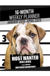 2019-2020 Weekly Planner - Most Wanted Bulldog (Bull Dog)