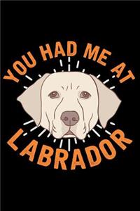 You Had Me at Labrador