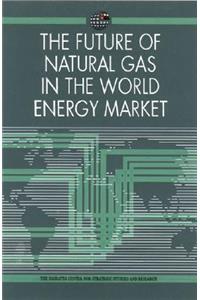 The Future of Natural Gas in the World Energy Market