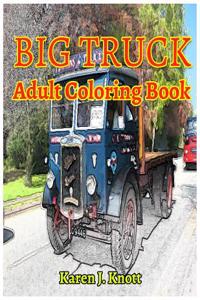 BIG TRUCK Adults coloring books: Sketches coloring book Relaxation Meditation Blessing