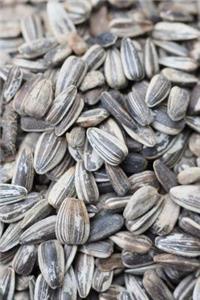 Massive Pile of Sunflower Seeds Ready to Eat Journal