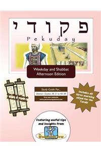 Bar/Bat Mitzvah Survival Guides