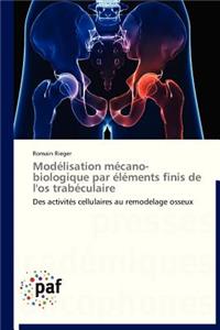 Modélisation Mécano-Biologique Par Éléments Finis de l'Os Trabéculaire