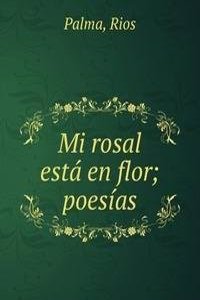 Mi rosal esta en flor