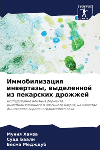 Иммобилизация инвертазы, выделенной из пе