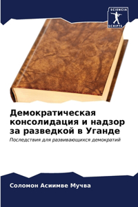 Демократическая консолидация и надзор за
