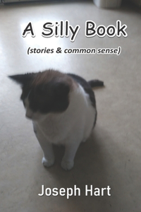 A Silly Book