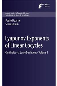 Lyapunov Exponents of Linear Cocycles