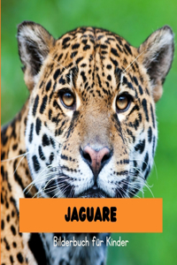 Jaguare