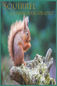 squirrel coloring book for adult