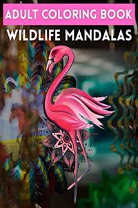 Adult Coloring Book Wildlife Mandalas